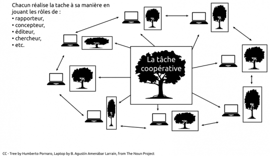 cooperatio